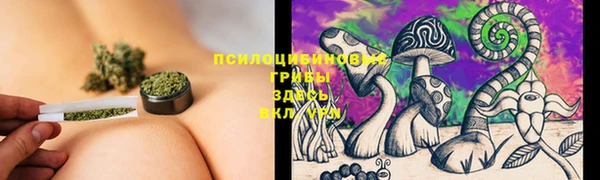 MDMA Заводоуковск