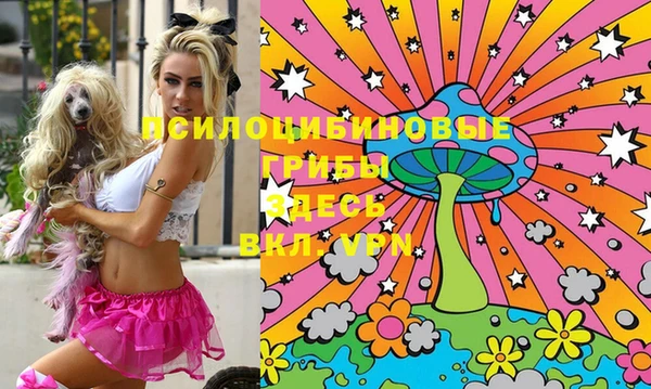индика Зерноград