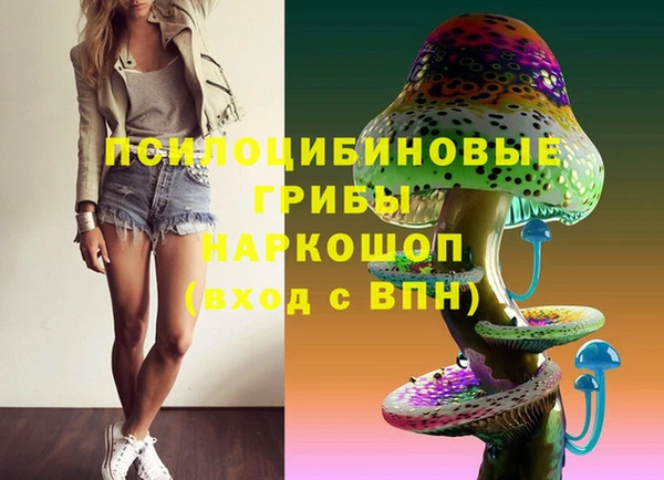ПСИЛОЦИБИНОВЫЕ ГРИБЫ Зеленодольск
