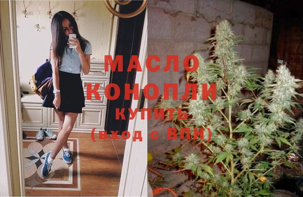 индика Зерноград