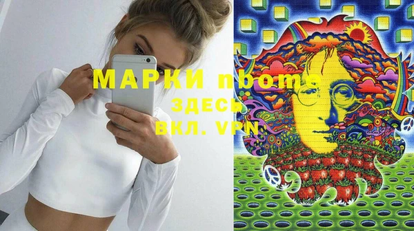 индика Зерноград