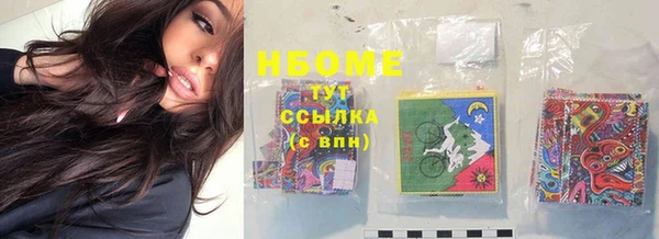 соль ск Инсар