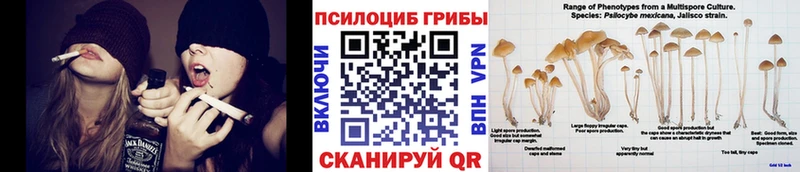Купить  Олёкминск  Псилоцибиновые грибы MAGIC MUSHROOMS 